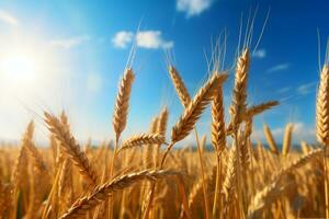ai generiert Weizen Ohren. Feld von Weizen im ein Sommer- Tag. Ernte Zeitraum. generativ ai foto