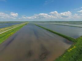 überflutet Reis Reisfelder. agronomisch Methoden von wachsend Reis foto