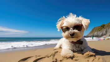 ai generiert Weiß flauschige Hund entspannend auf ein sonnig Strand foto