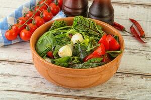 mischen Salat mit Mozzarella und Tomate foto