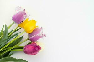 mehrfarbig lockig Tulpen lila, Burgund, Gelb mit Blätter im Ecke auf Weiß Hintergrund. International Damen Tag und Valentinstag Tag. Kopieren Raum foto