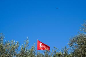 Türkisch Flagge gegen das Blau Himmel und Spitzen von das Bäume. foto