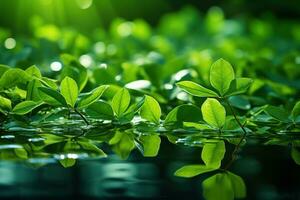 ai generiert ein heiter Szene von Grün Blätter gespiegelt im Ruhe Gewässer, gehen Grün Bilder foto