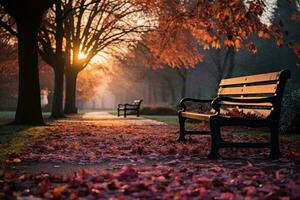 ai generiert Sonnenaufgang Sanft Licht im das Park, schön Sonnenaufgang Bild foto