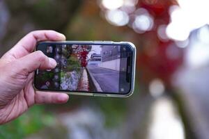 ein Smartphone Schießen gestapelt oben rot Blätter im das eng Rinne im Herbst foto