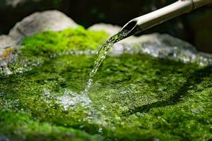 ein japanisch Bambus Wasser Brunnen shishi-odoshi im Zen Garten foto