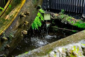 ein historisch hölzern Rad auf das Wasser Oberfläche im Tokyo schließen oben foto