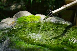 ein japanisch Bambus Wasser Brunnen shishi-odoshi im Zen Garten foto