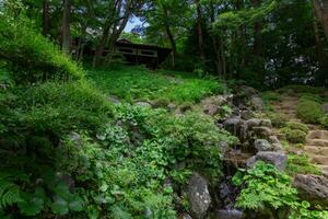 ein japanisch Garten Teich beim Tonogayato Garten im Sommer- sonnig Tag foto