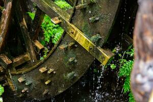 ein historisch hölzern Rad auf das Wasser Oberfläche im Tokyo schließen oben foto