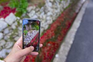 ein Smartphone Schießen gestapelt oben rot Blätter im das eng Rinne im Herbst foto