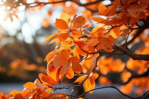 ai generiert glühen warm Sonnenlicht unter beschwingt Blätter, schön Sonnenaufgang Bild foto