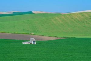 ländliches hügeliges Ackerland mit weißem Schuppen foto