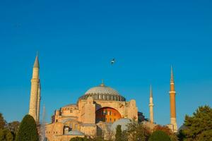 Hagia Sophia oder Ayasofya Moschee beim Sonnenuntergang mit ein Möwe auf das Kuppel foto