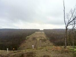 ein Clearing im das Wald zum das Gas Pipeline foto