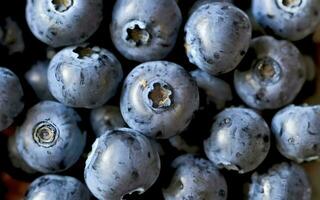 ai generiert Blaubeeren zeigen Zeichen von Schimmel mit bemerkbar Weiß Flecken foto