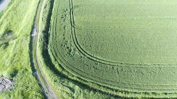 das oben Aussicht von das Weizen Feld und das Kanal von das Bewässerung System. Schießen von ein Drohne. foto