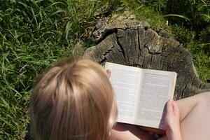 jung Frau ist lesen ein Buch draußen Sitzung auf Stumpf, Rückseite Aussicht von über. foto