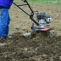 Pflanzen Kartoffeln unter das hinterherlaufen Traktor foto