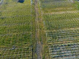 Frameworks von Gewächshäuser, oben Sicht. Konstruktion von Gewächshäuser im das Feld. Landwirtschaft, Agrotechnik von geschlossen Boden foto