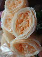 Rosen Blume Blühen Schönheit Natur und Sanft verwischen foto