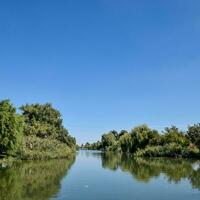 Poltawa Yerik. Landschaft Fluss, Wasser und Bäume. foto
