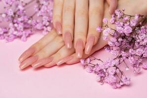 weiblich Hände mit schön Maniküre auf Rosa Hintergrund foto
