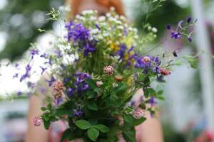 Strauß von Wildblumen im das Hände von ein Mädchen foto