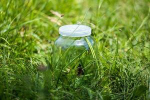 Glas Krug mit Schmetterling Grün Gras im das Park. Nahansicht foto