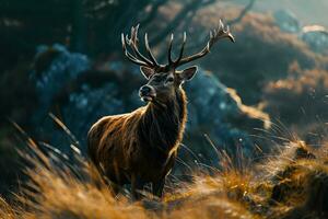 ai generiert Foto Hirsch im das Wald