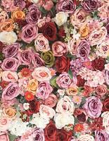 Blume Hintergrund - - Rosa Rose Hintergrund foto
