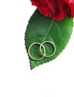 Ringe mit Rose foto