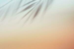 natürlich Palme Blätter Schatten auf Gradient Papier Hintergrund. abstrakt Rosa tropisch Hintergrund. Sanft Licht foto