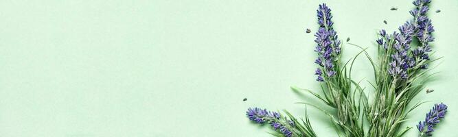 Lavendel Strauß auf Minze Grün Banner. Aromatherapie Behandlung und Hautpflege Spa Kosmetika. minimal Hintergrund Konzept foto