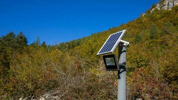 ai generiert Solar- Panel Beleuchtung oben Wald Szene foto