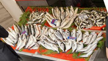 Frau Kauf frisch Fisch im ein Türkisch Basar foto