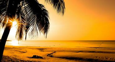 schöner sonnenaufgang tropischer strand mit palme und himmel für reise und urlaub im urlaub foto