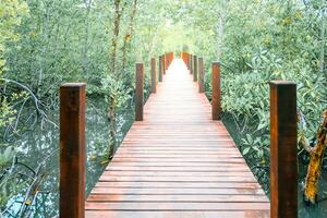 hölzern Brücke zum Gehweg im das Mangrove Natur Studie Pfad Wald foto