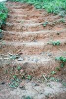 Treppe mit ihr Schritte gemacht aus von Boden und Felsbrocken mit Gras um. Boden Treppe führen zu das hügel. foto