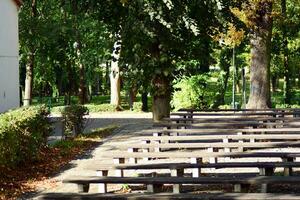 Grün Bäume im das Stadt Park foto