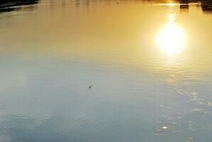 Fluss im das Stadt im beim bunt Sonnenuntergang im das Hintergrund foto