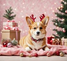 ai generiert süß Walisisch Corgi Hund mit Rentier Geweih Sitzung in der Nähe von Weihnachten Baum. foto