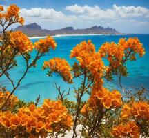 ai generiert Küsten Landschaft mit Gelb Blumen im das Vordergrund, Kap Stadt, Süd Afrika foto