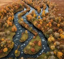 ai generiert Antenne Aussicht von schön See im Herbst Wald. Drohne Fotografie. foto
