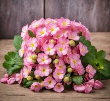 ai generiert Rosa Begonie Blumen auf ein hölzern Hintergrund. Tönung. selektiv Fokus foto