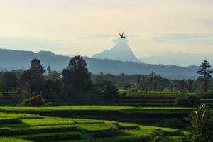 das Schönheit von das Morgen Panorama mit Sonnenaufgang im Indonesien Dorf foto