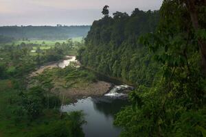 schön Morgen Aussicht Indonesien. Panorama Landschaft Paddy Felder mit Schönheit Farbe und Himmel natürlich Licht foto