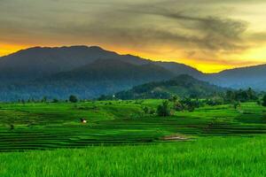 das Schönheit von das Morgen Panorama mit Sonnenaufgang im Indonesien Dorf foto