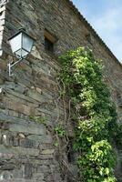 traditionell Stein Haus mit Klettern Pflanze. Patone de Arriba, Madrid foto