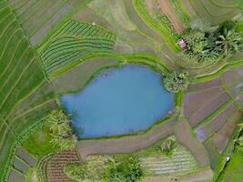 das Schönheit von das Morgen Panorama mit Sonnenaufgang im Indonesien Dorf foto